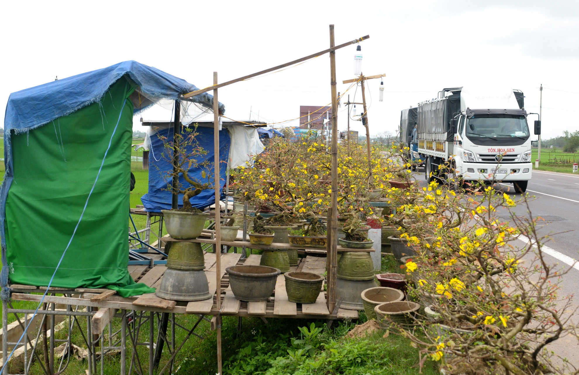 Dung leu ban mai Tet anh 1