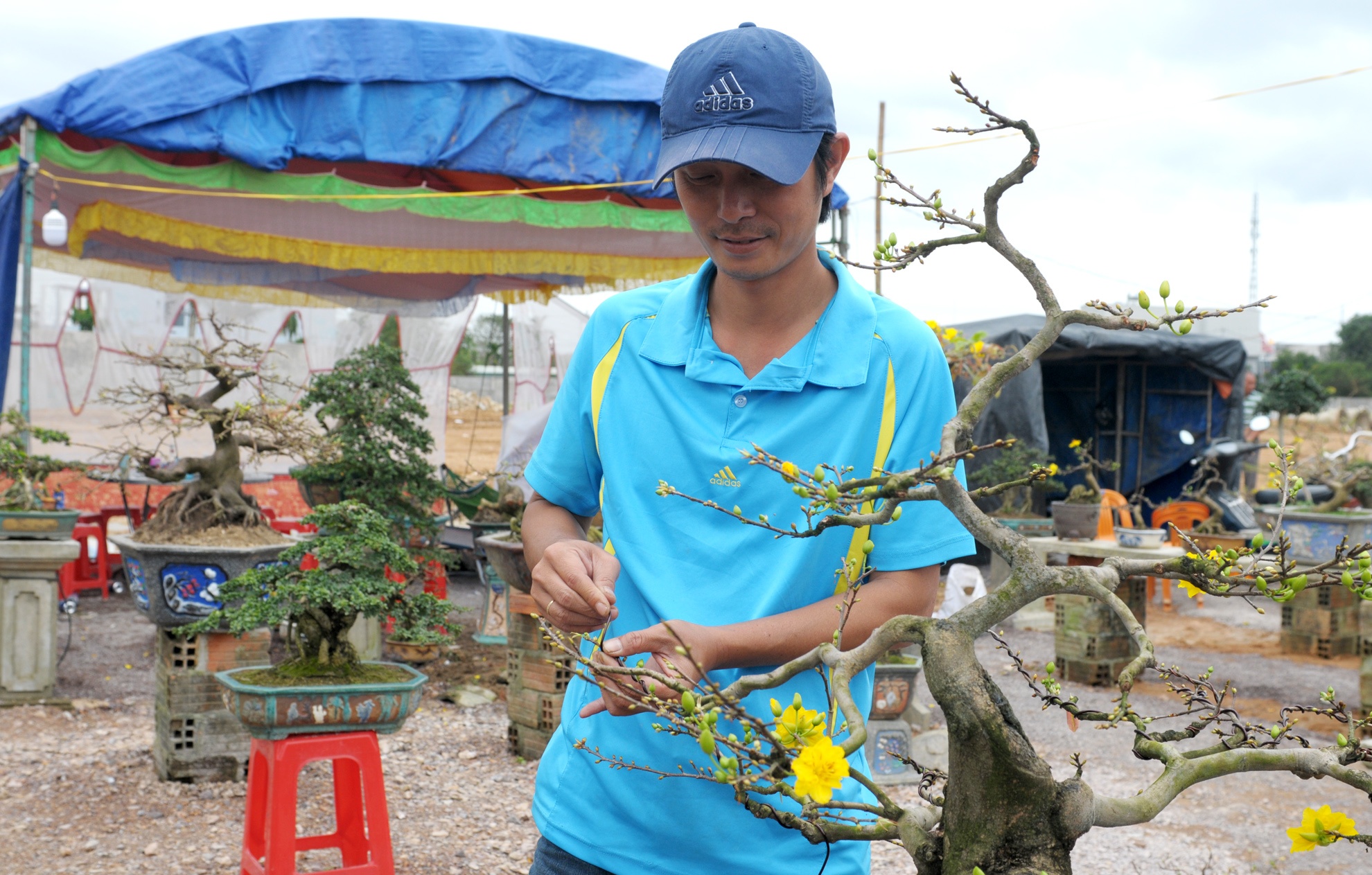 Dung leu ban mai Tet anh 3