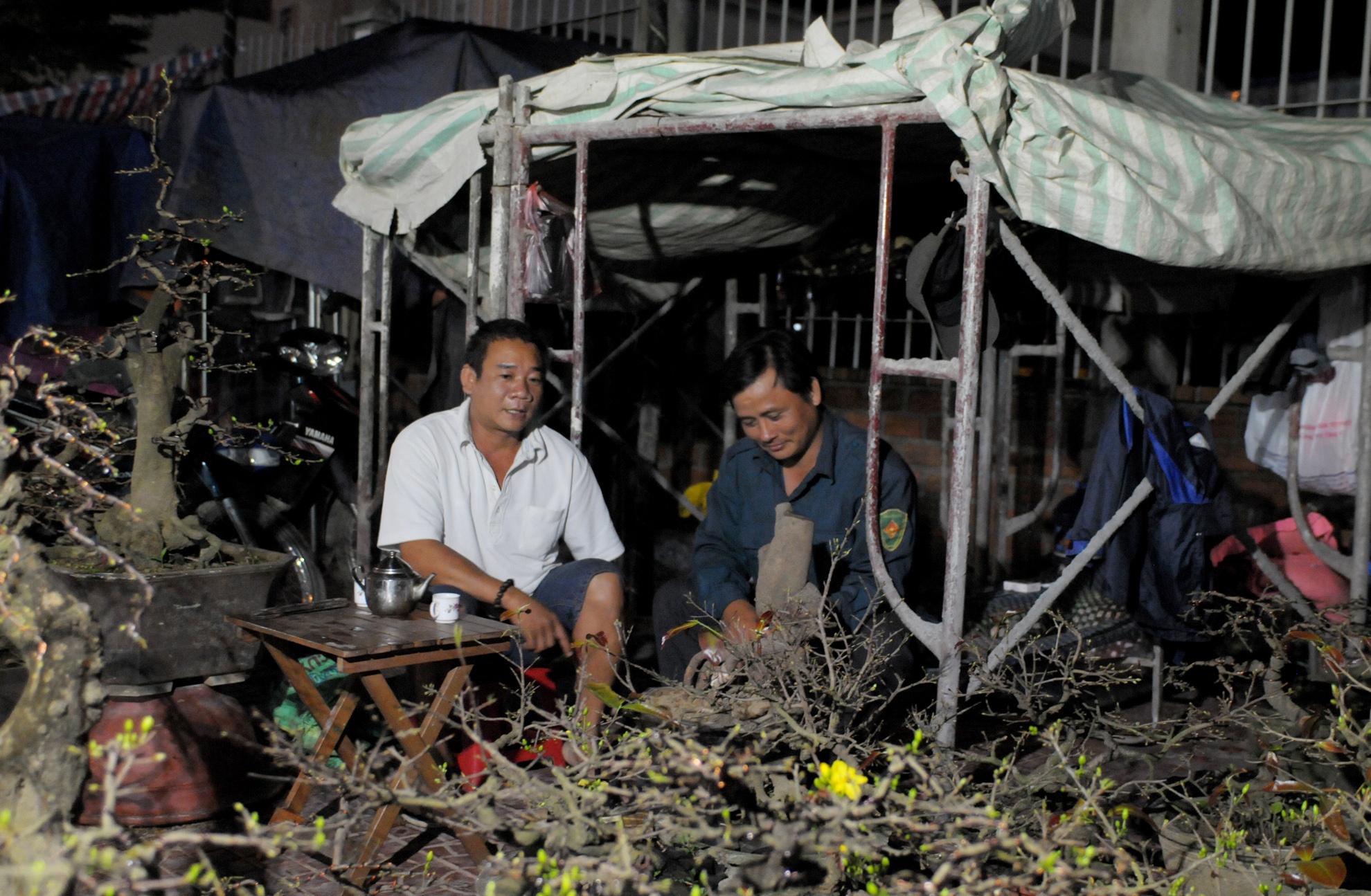 Dung leu ban mai Tet anh 4