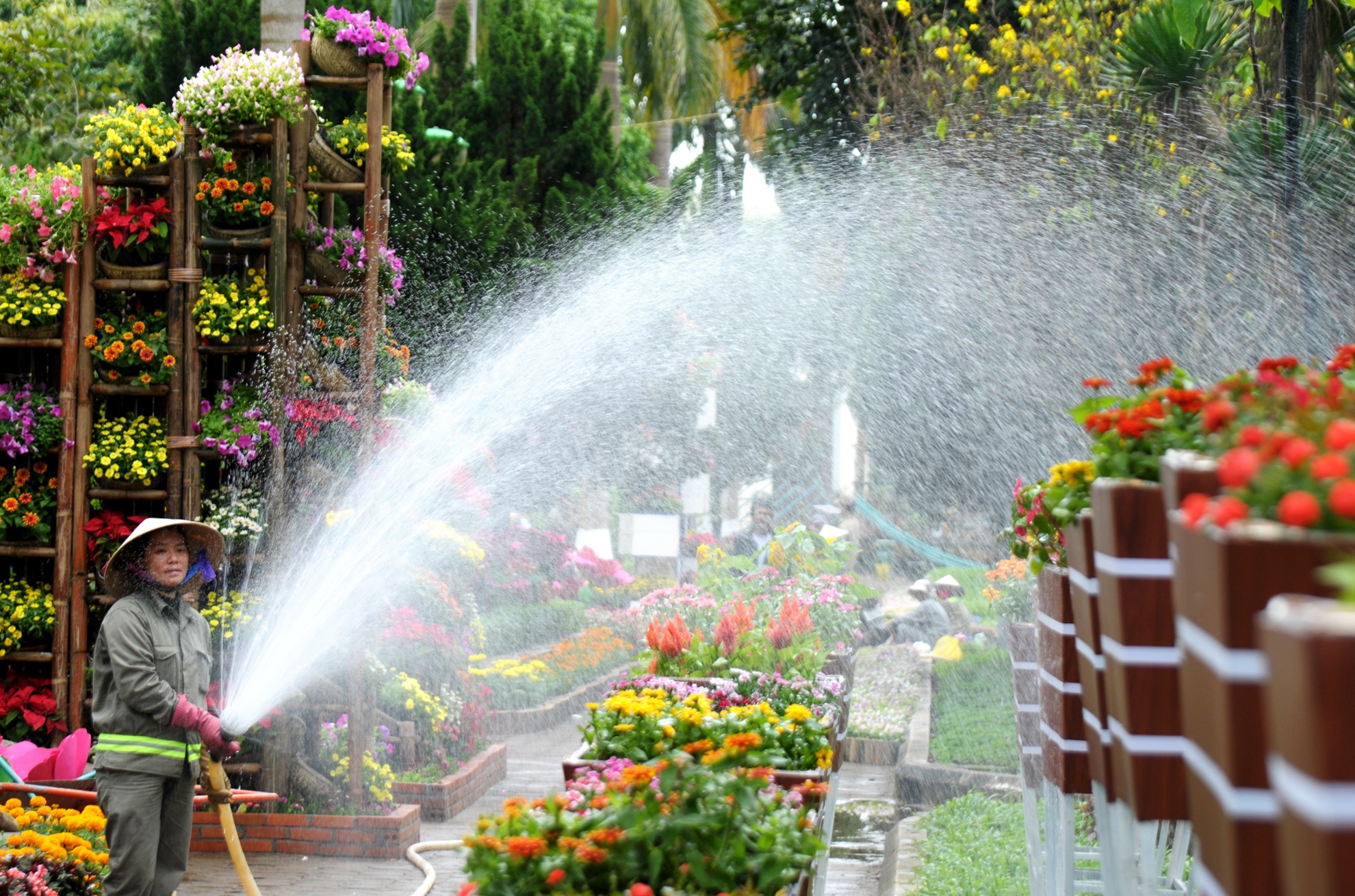 Hoi hoa Xuan Quang Ngai anh 8