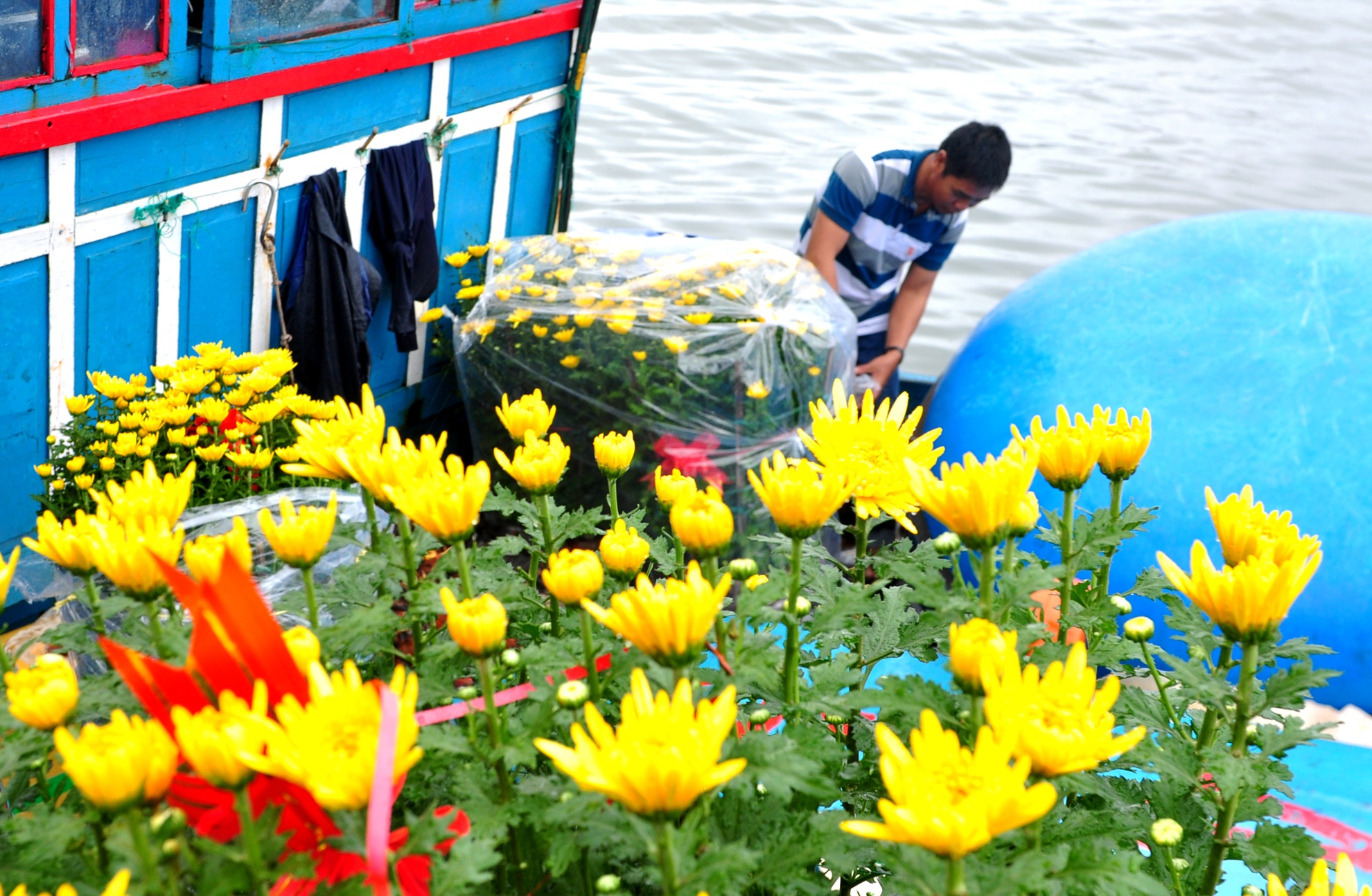 Tet ra dao Ly Son anh 11