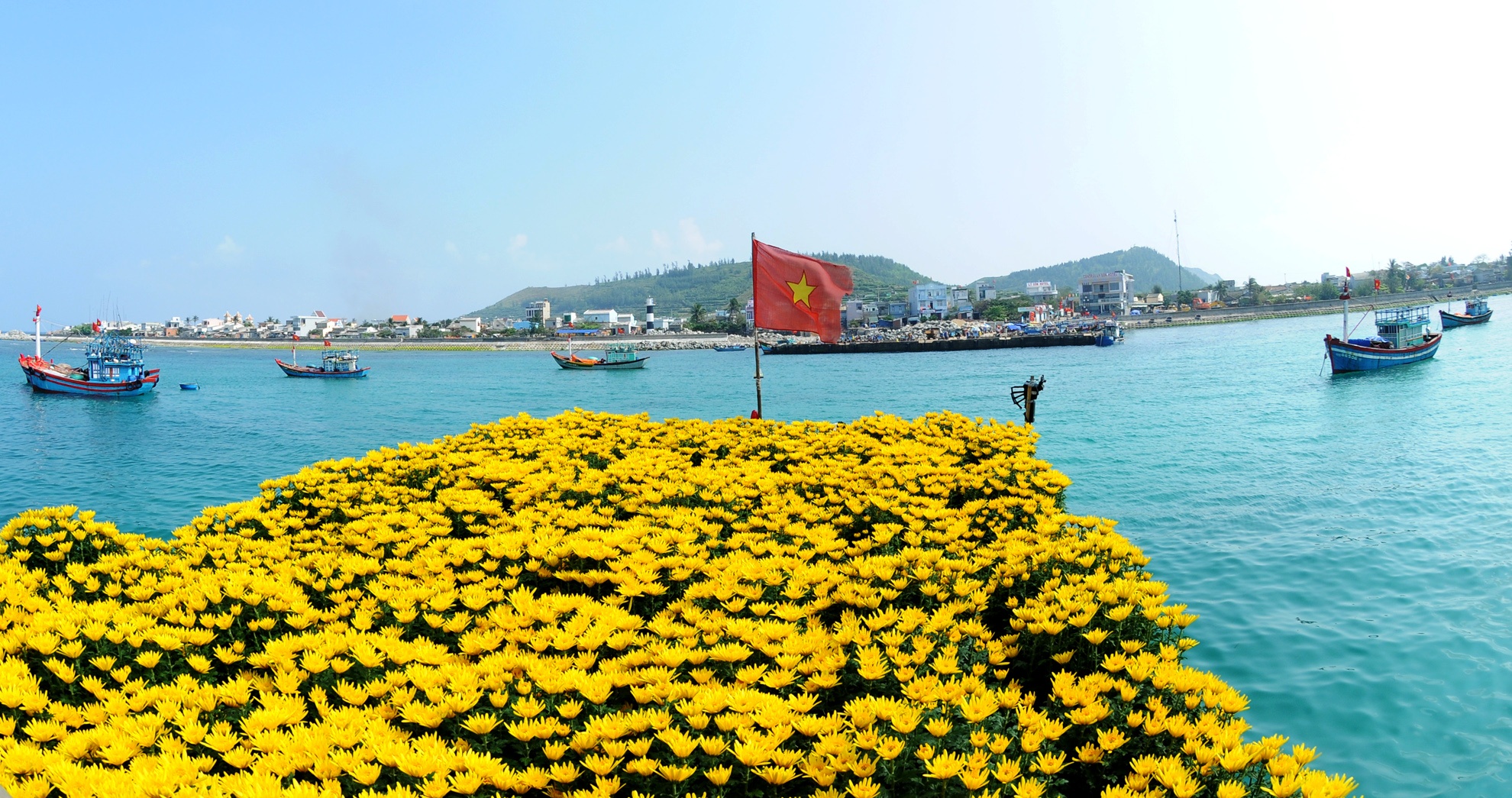 Tet ra dao Ly Son anh 12