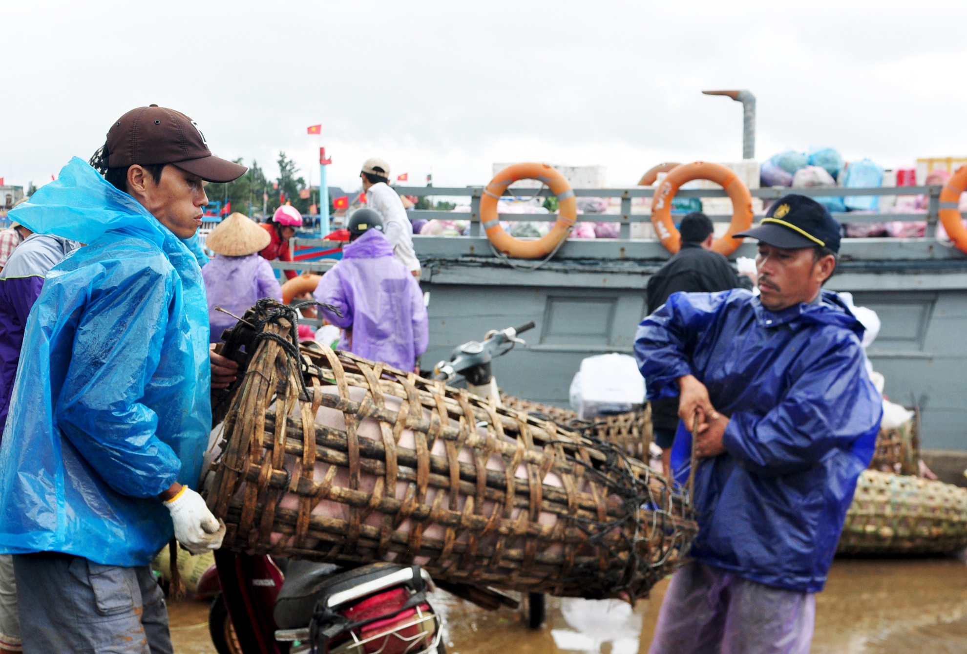 Tet ra dao Ly Son anh 2