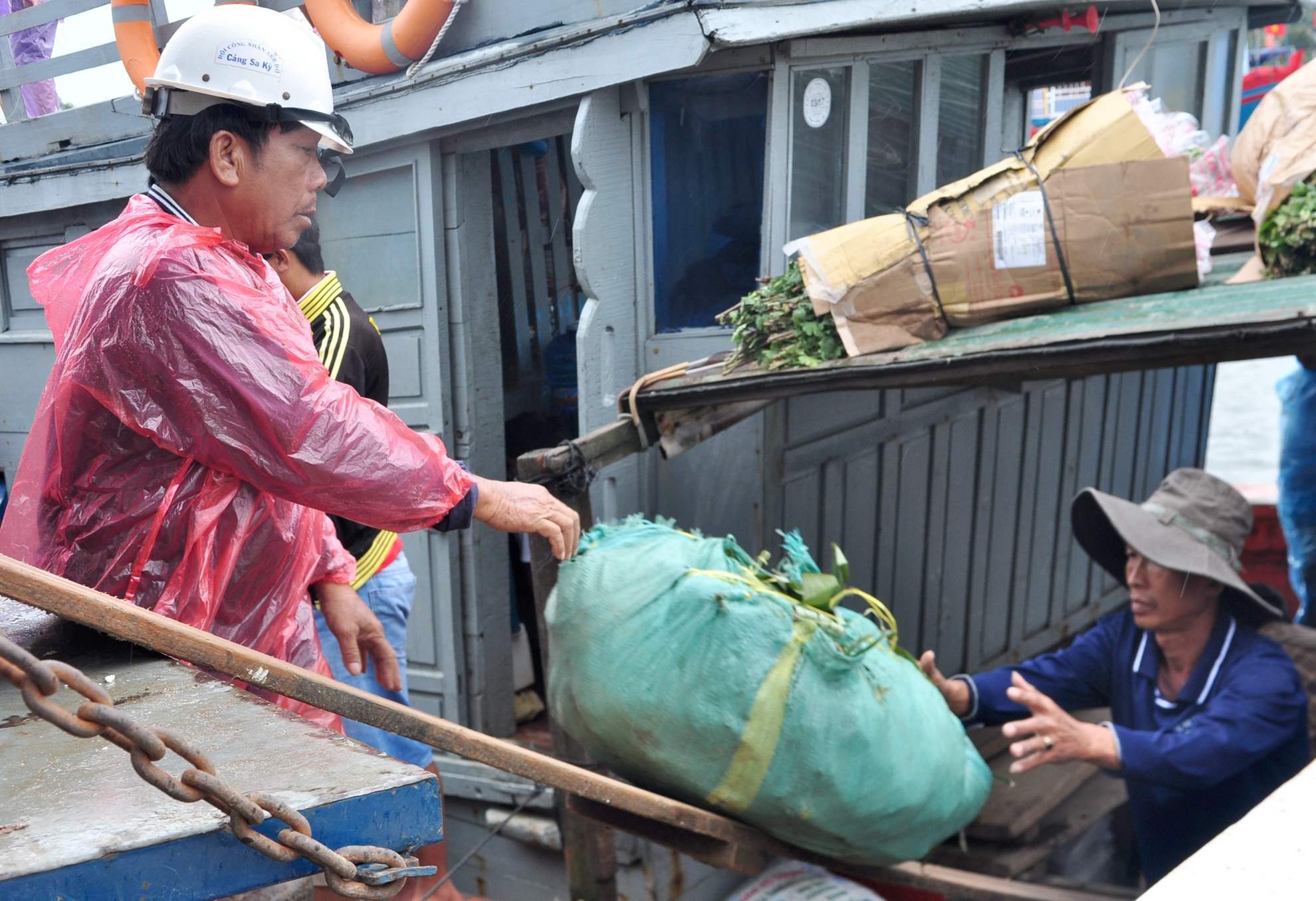 Tet ra dao Ly Son anh 4