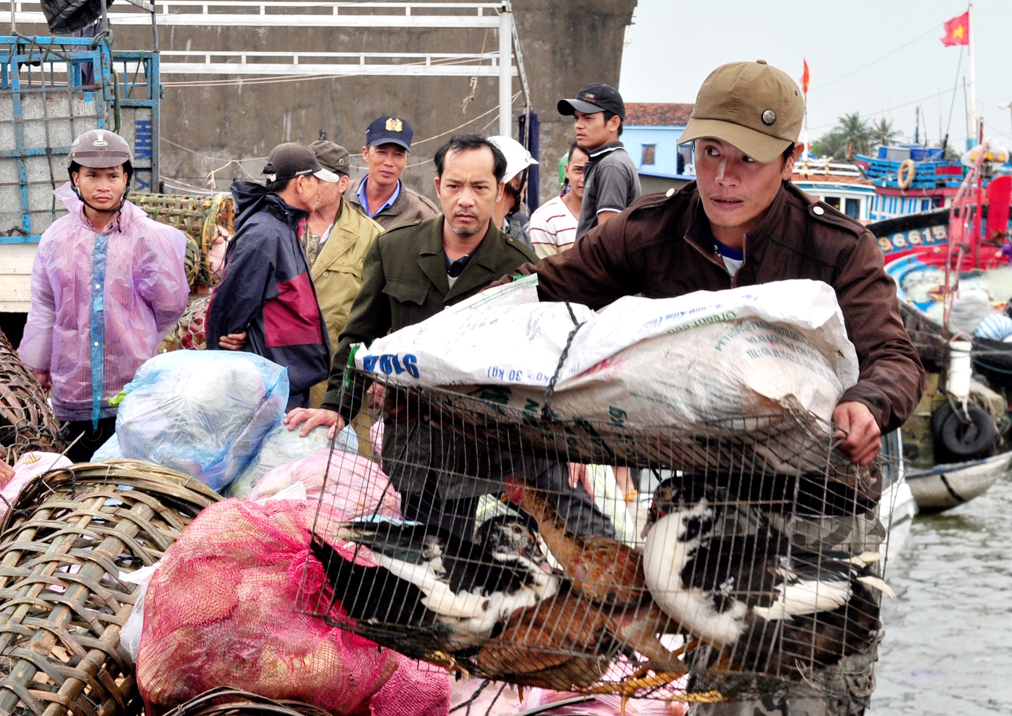 Tet ra dao Ly Son anh 8