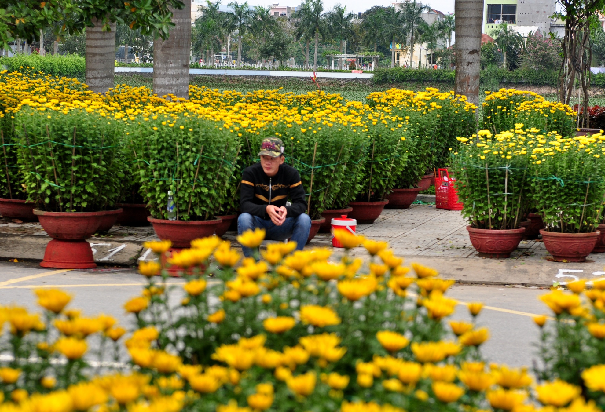 Hoa Tet e am, nong dan Quang Ngai 'do khoc do meu' hinh anh