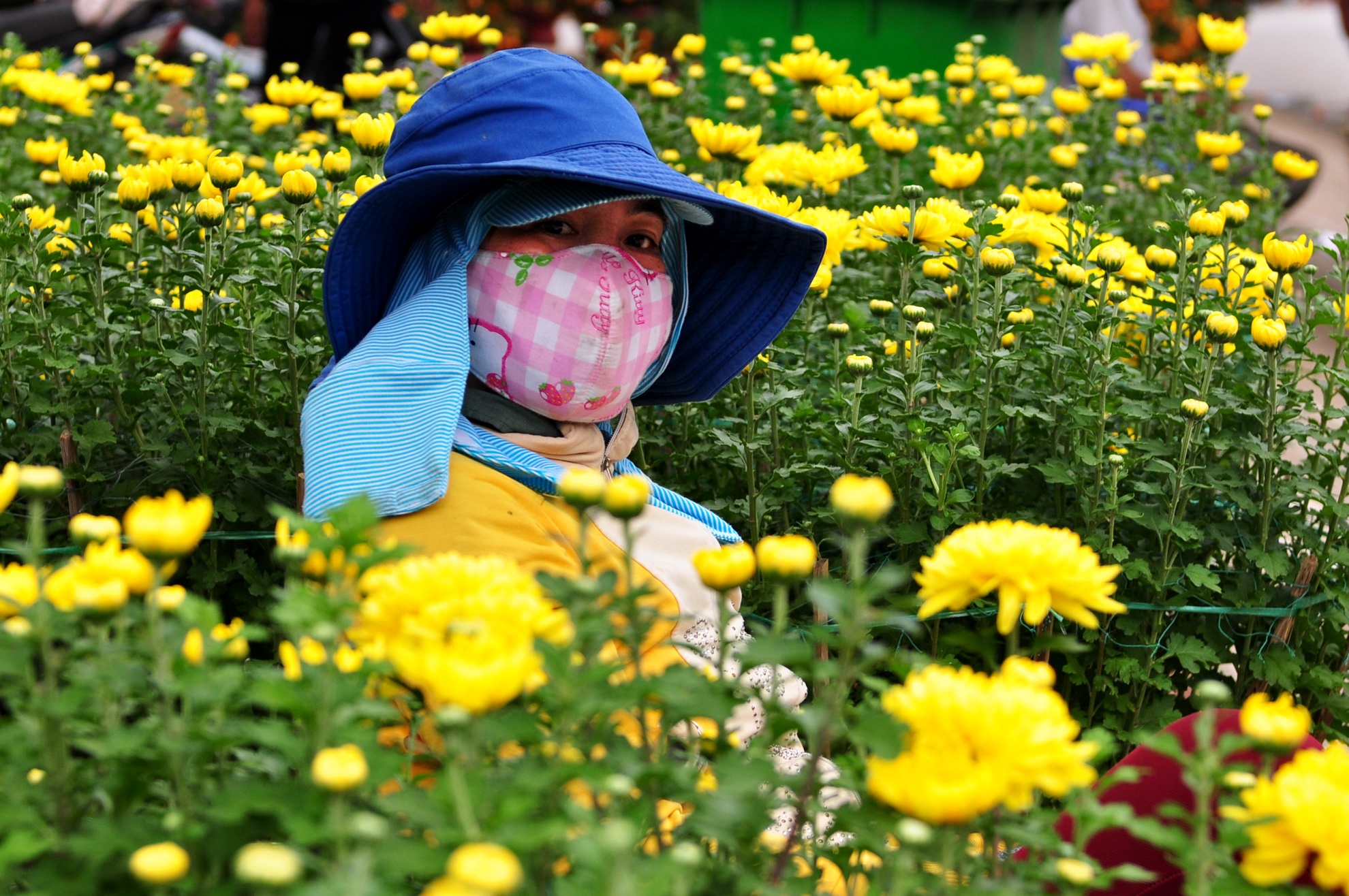 Thoi tiet xau, dan Quang Ngai lo vu hoa Tet lo von hinh anh