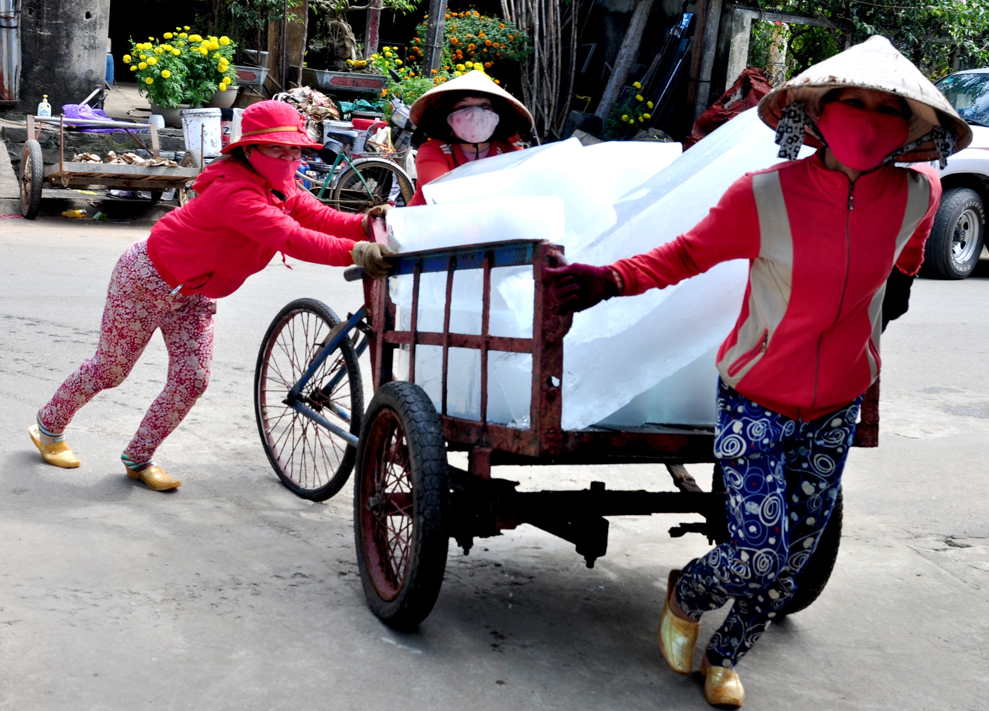 Trung dam loc bien dau nam anh 10