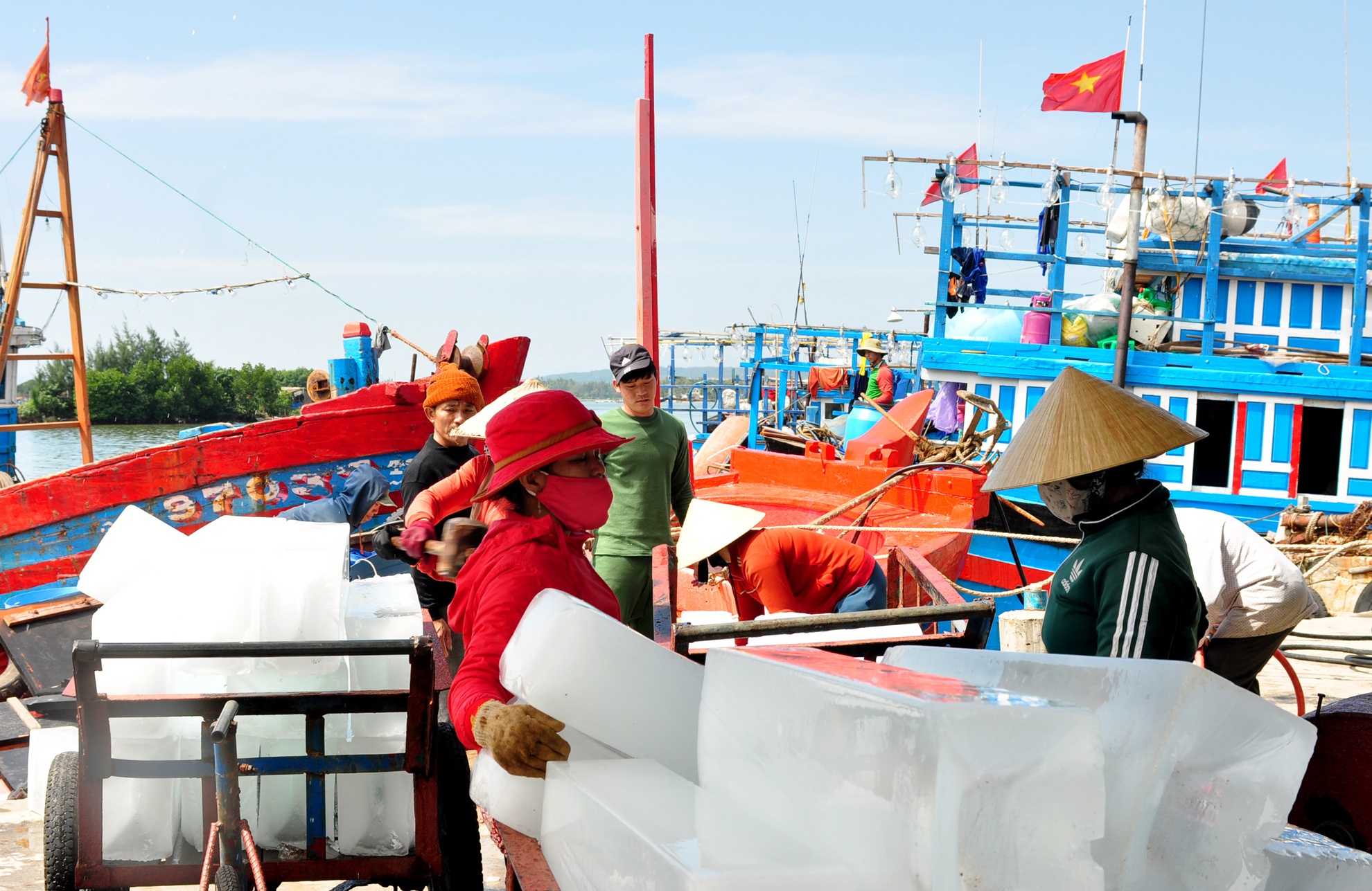 Trung dam loc bien dau nam anh 11