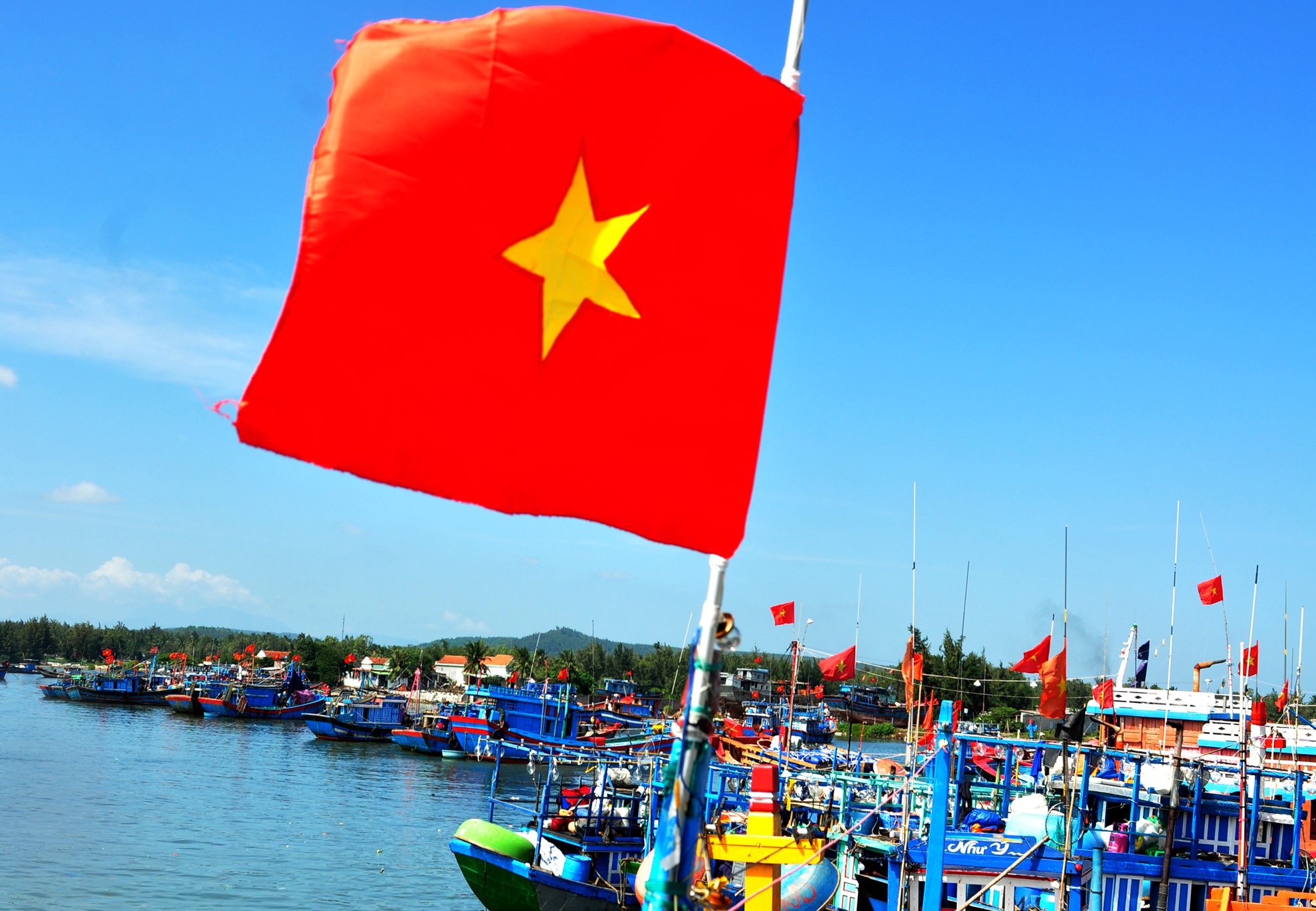 Trung dam loc bien dau nam anh 1