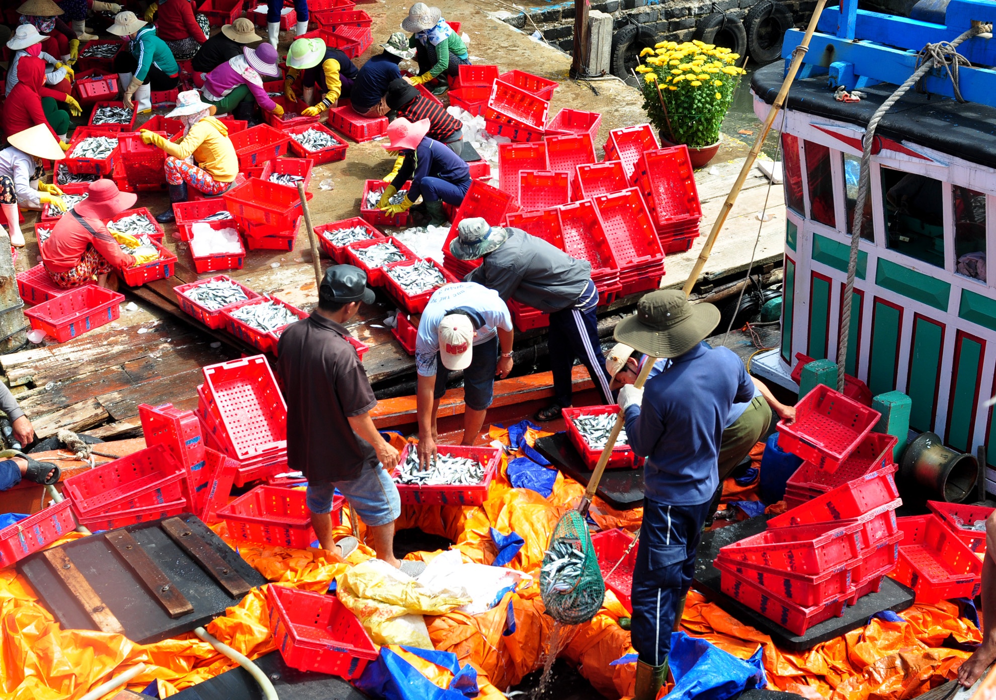 Trung dam loc bien dau nam anh 2