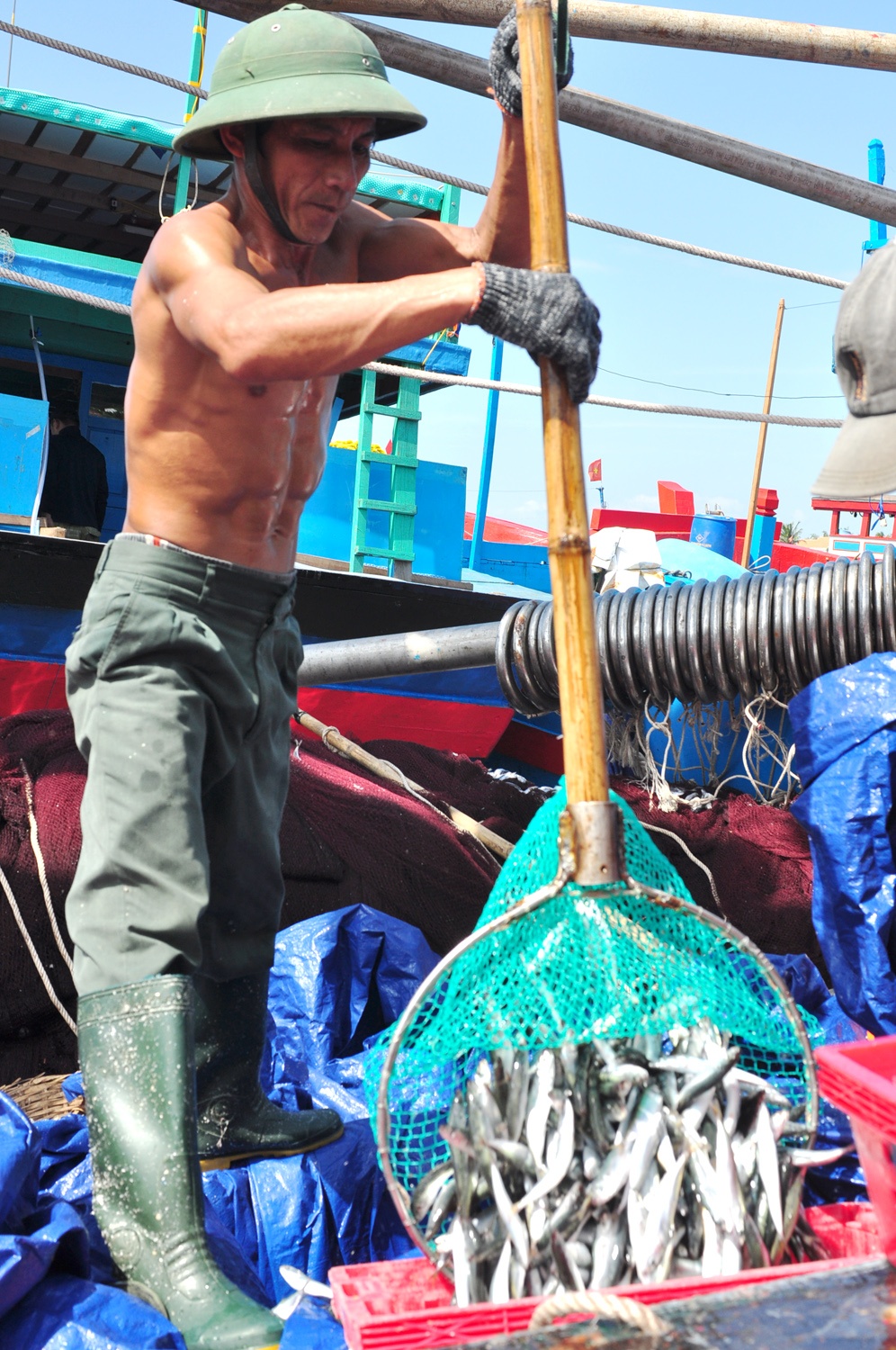 Trung dam loc bien dau nam anh 3