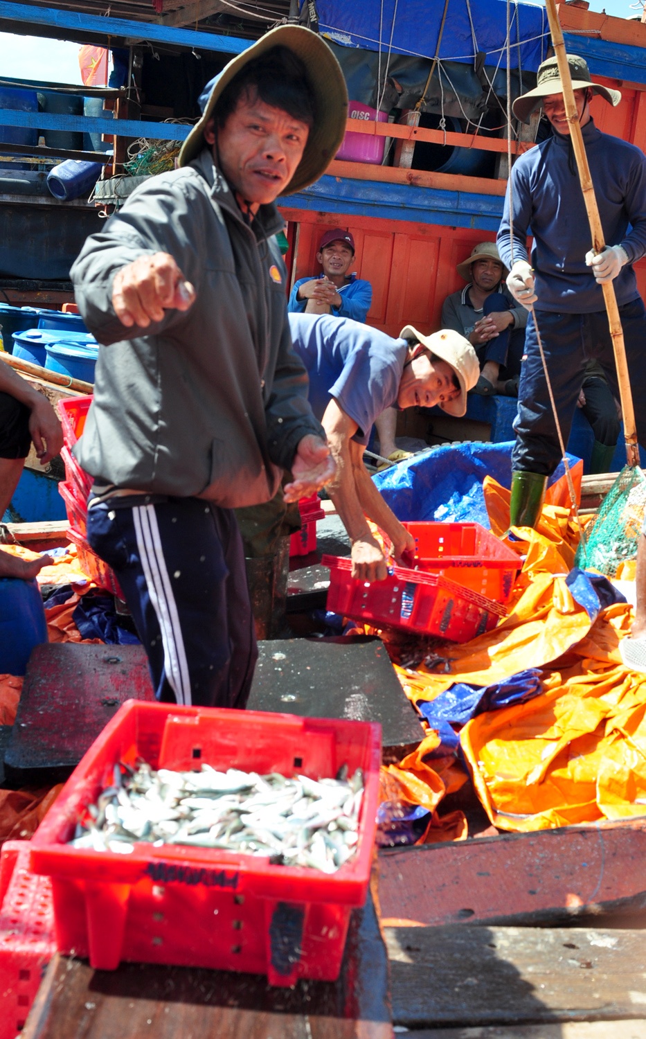 Trung dam loc bien dau nam anh 4
