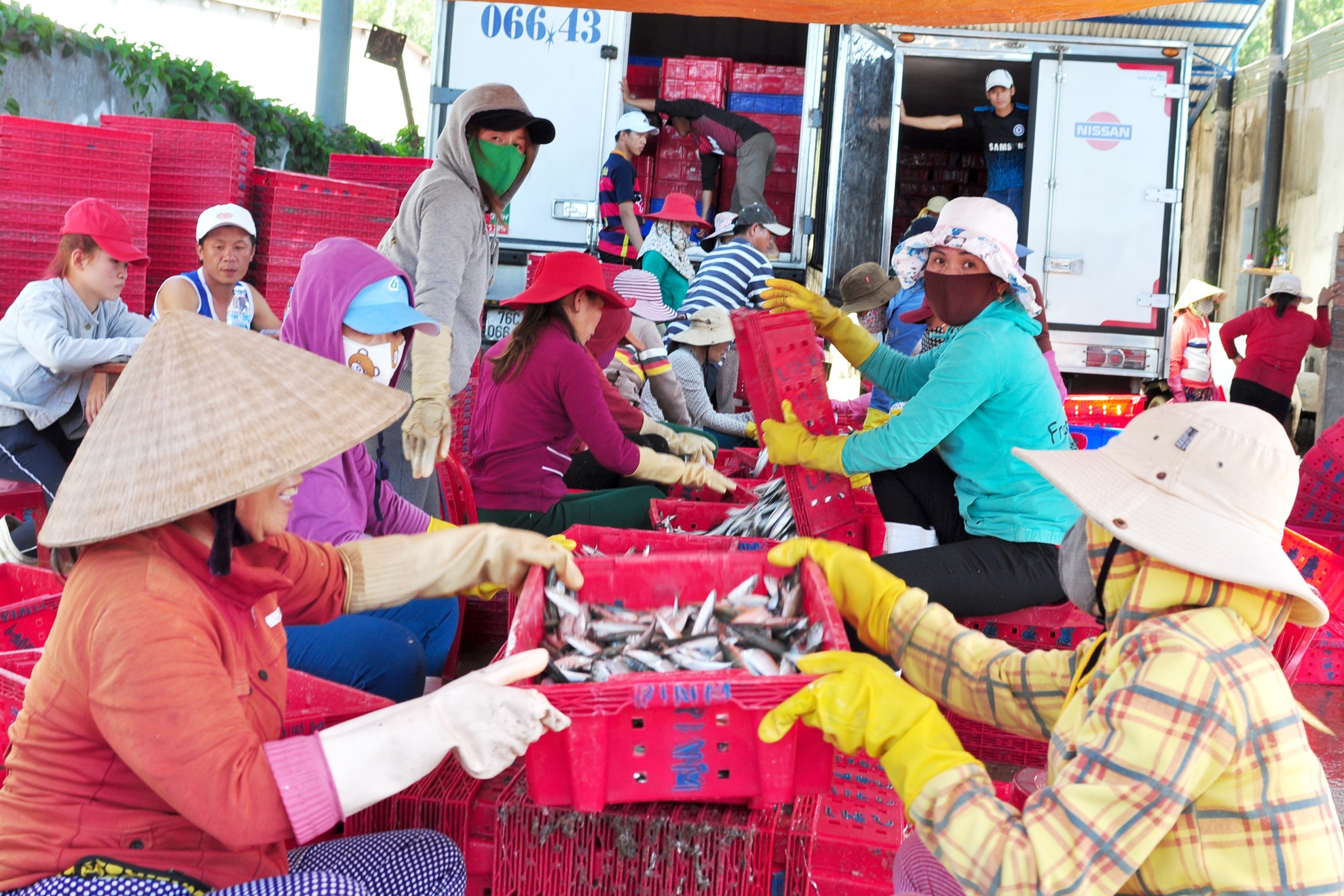 Ngu dan Quang Ngai trung dam ca nuc suong dau nam hinh anh