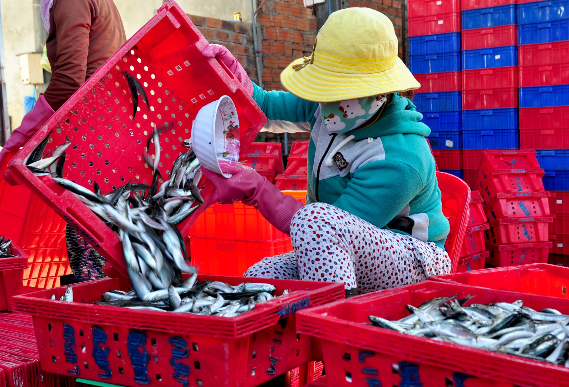 Trung dam loc bien dau nam anh 7