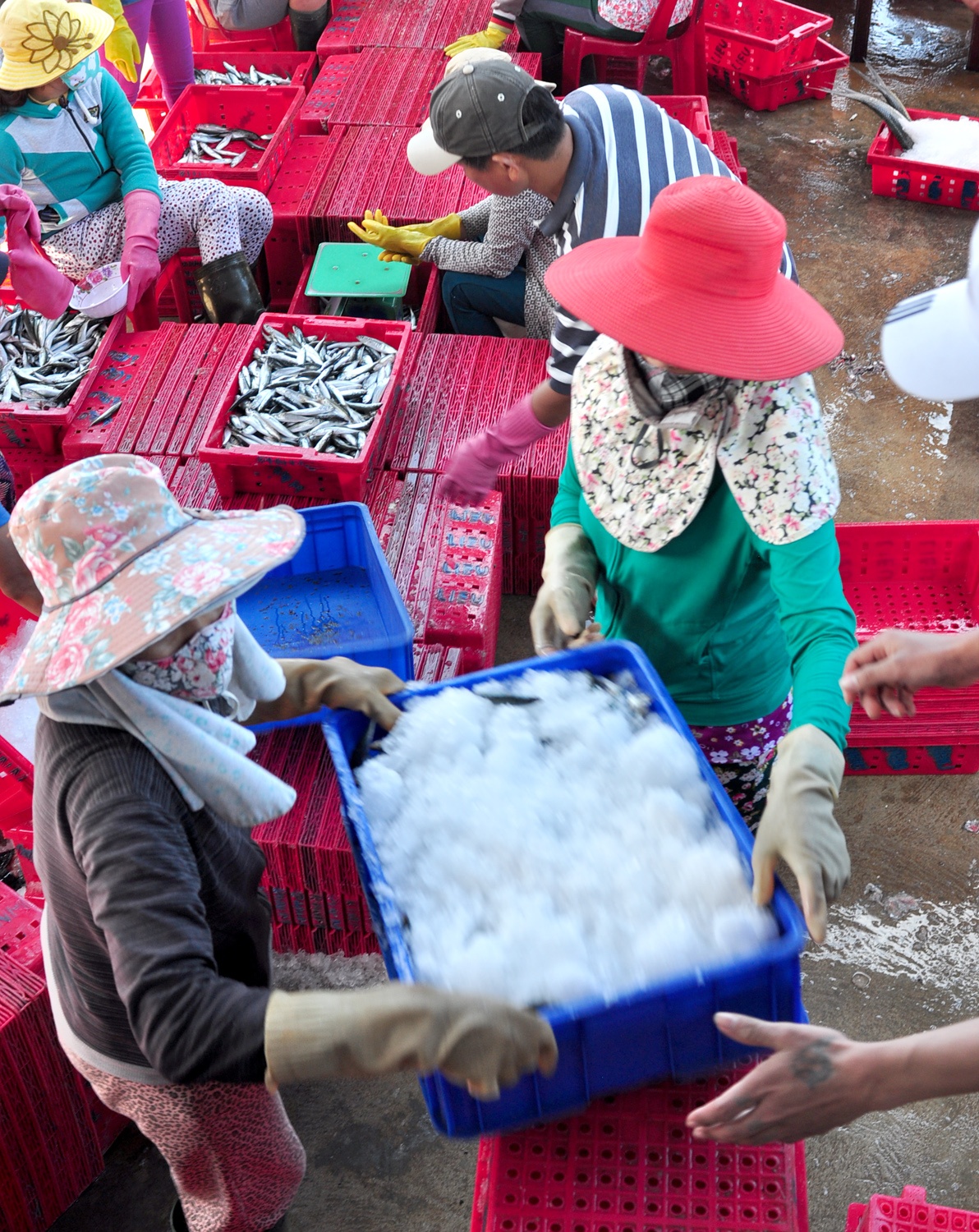 Trung dam loc bien dau nam anh 8