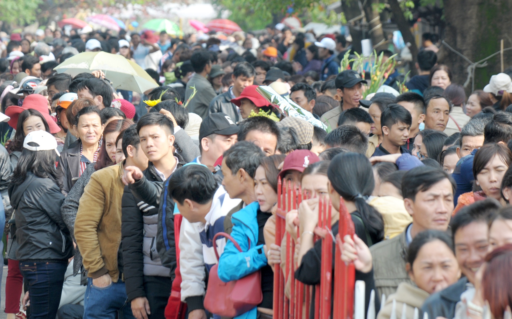 Tet Nguyen tieu anh 2