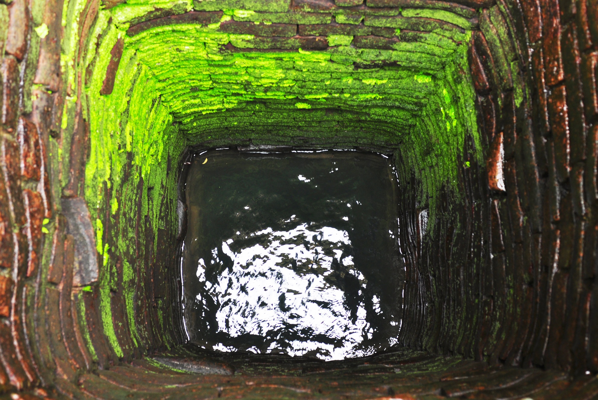 Cap vo chong gia o Hoi An anh 3