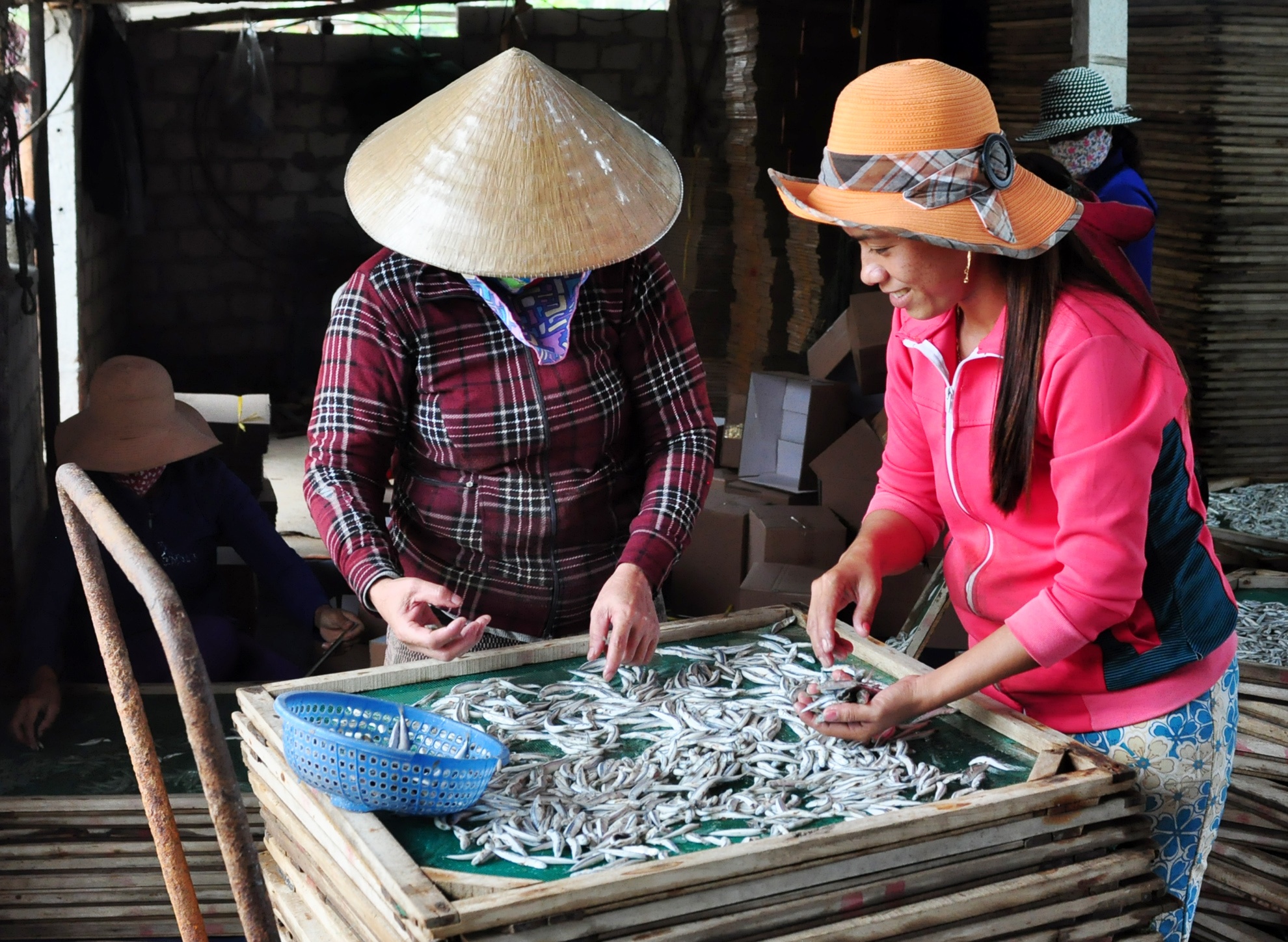 Ngu dan trung dam ca com anh 11