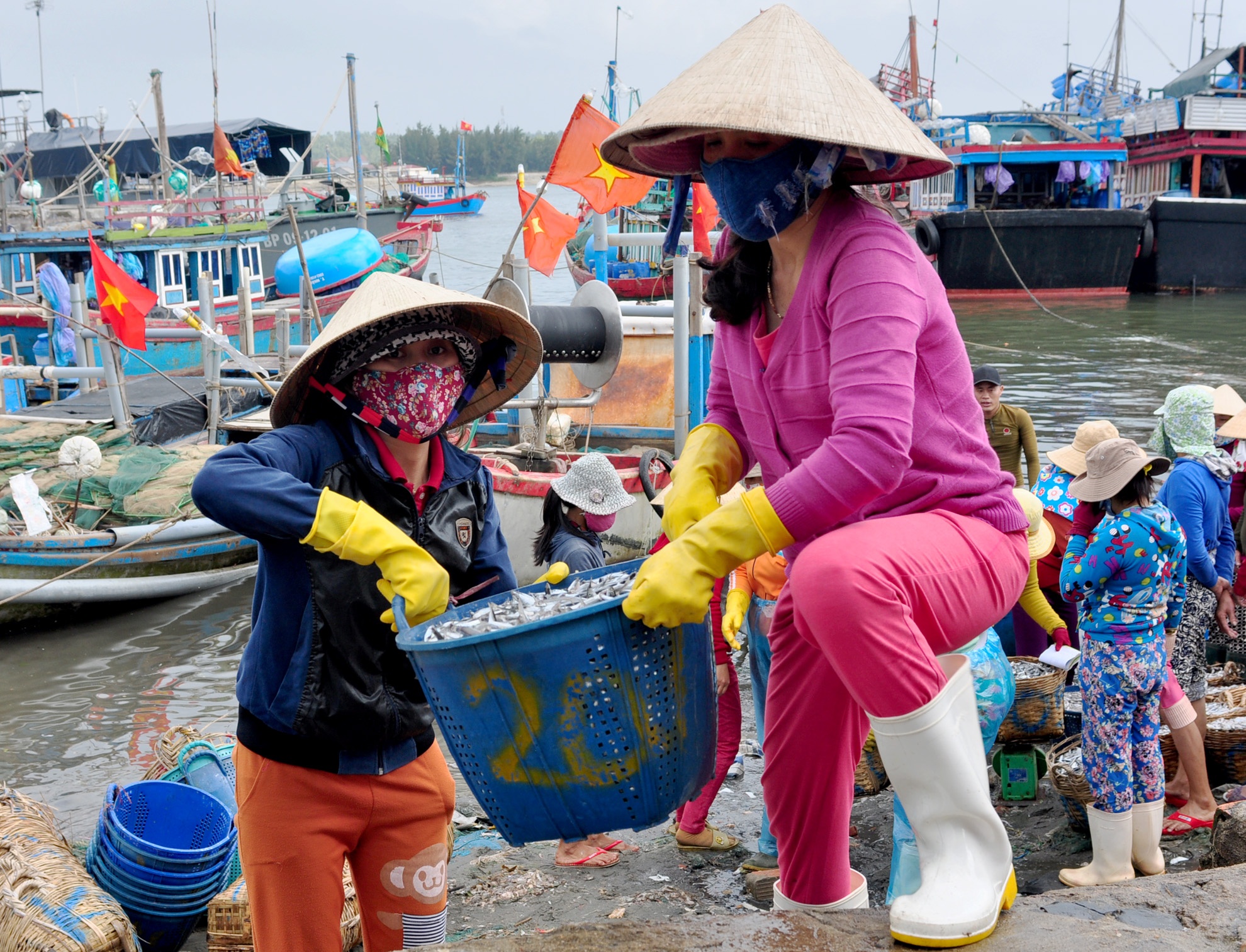 Ngu dan trung dam ca com anh 3