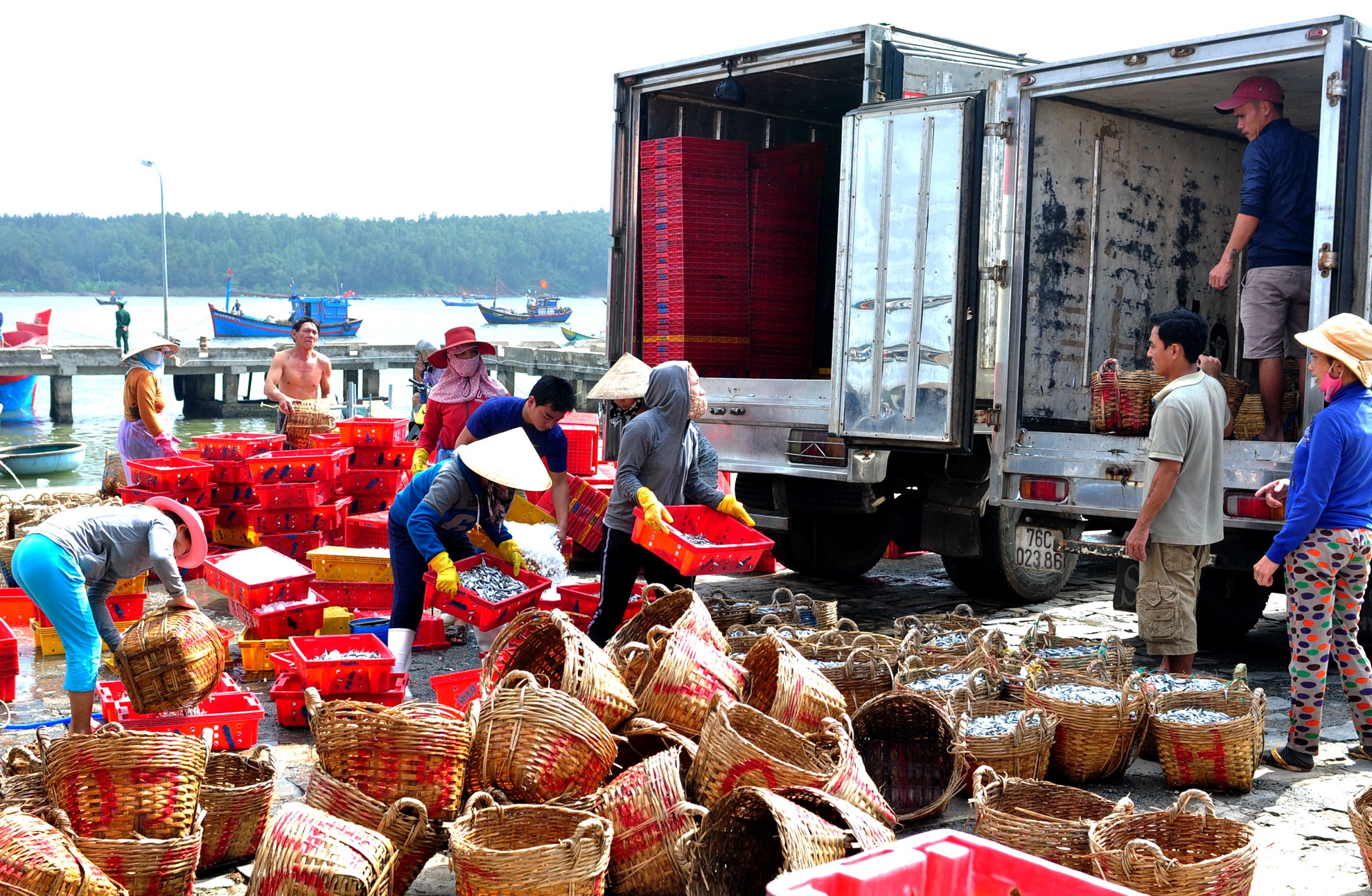 Ngu dan trung dam ca com anh 6