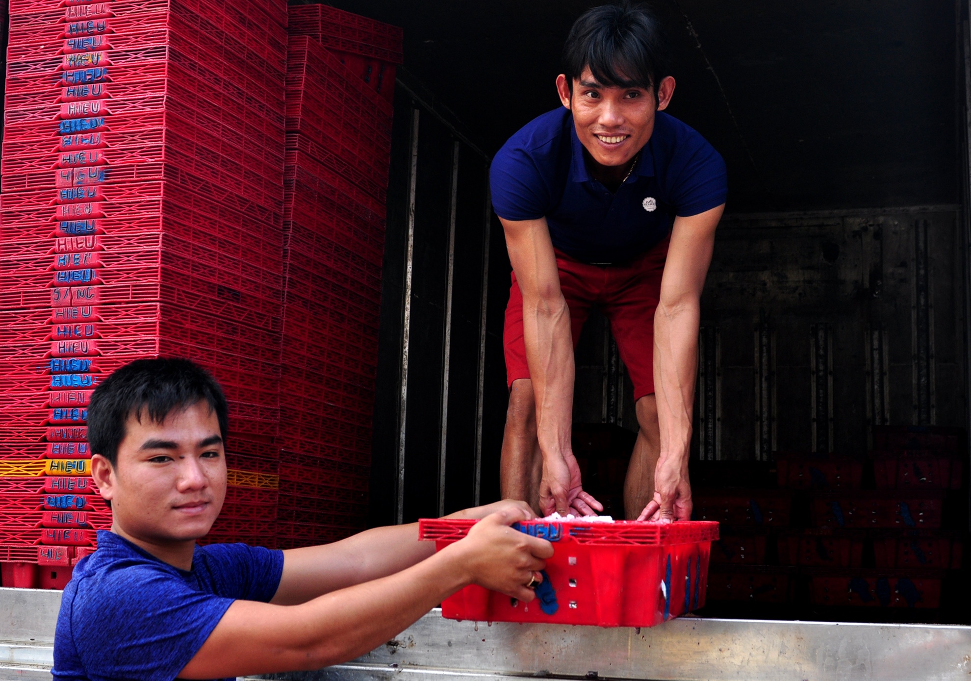 Ngu dan trung dam ca com anh 7