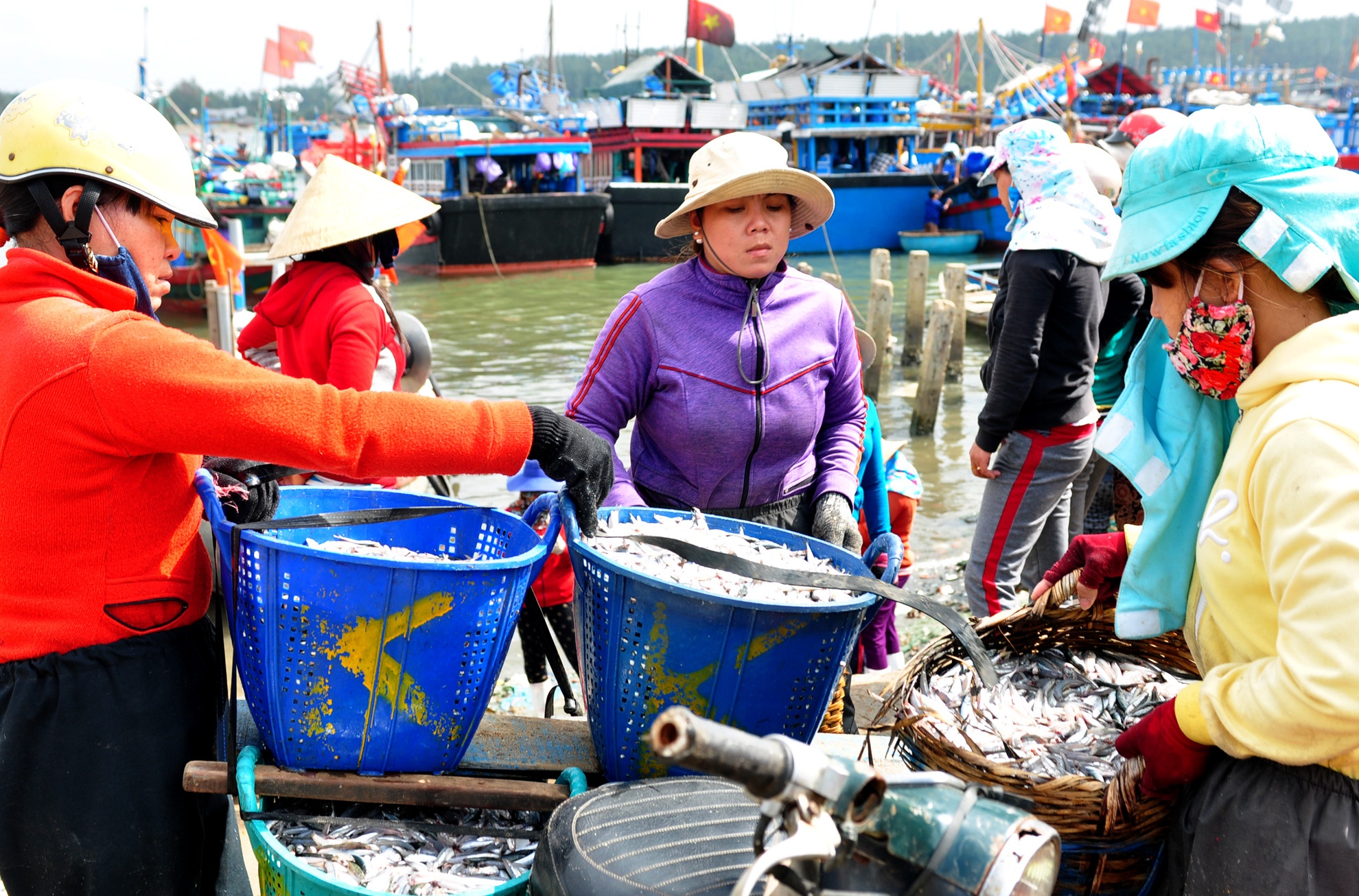 Ngu dan Quang Ngai trung dam ca com dau nam hinh anh