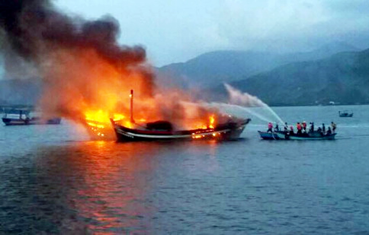 Chay tau ca Binh Dinh anh 1