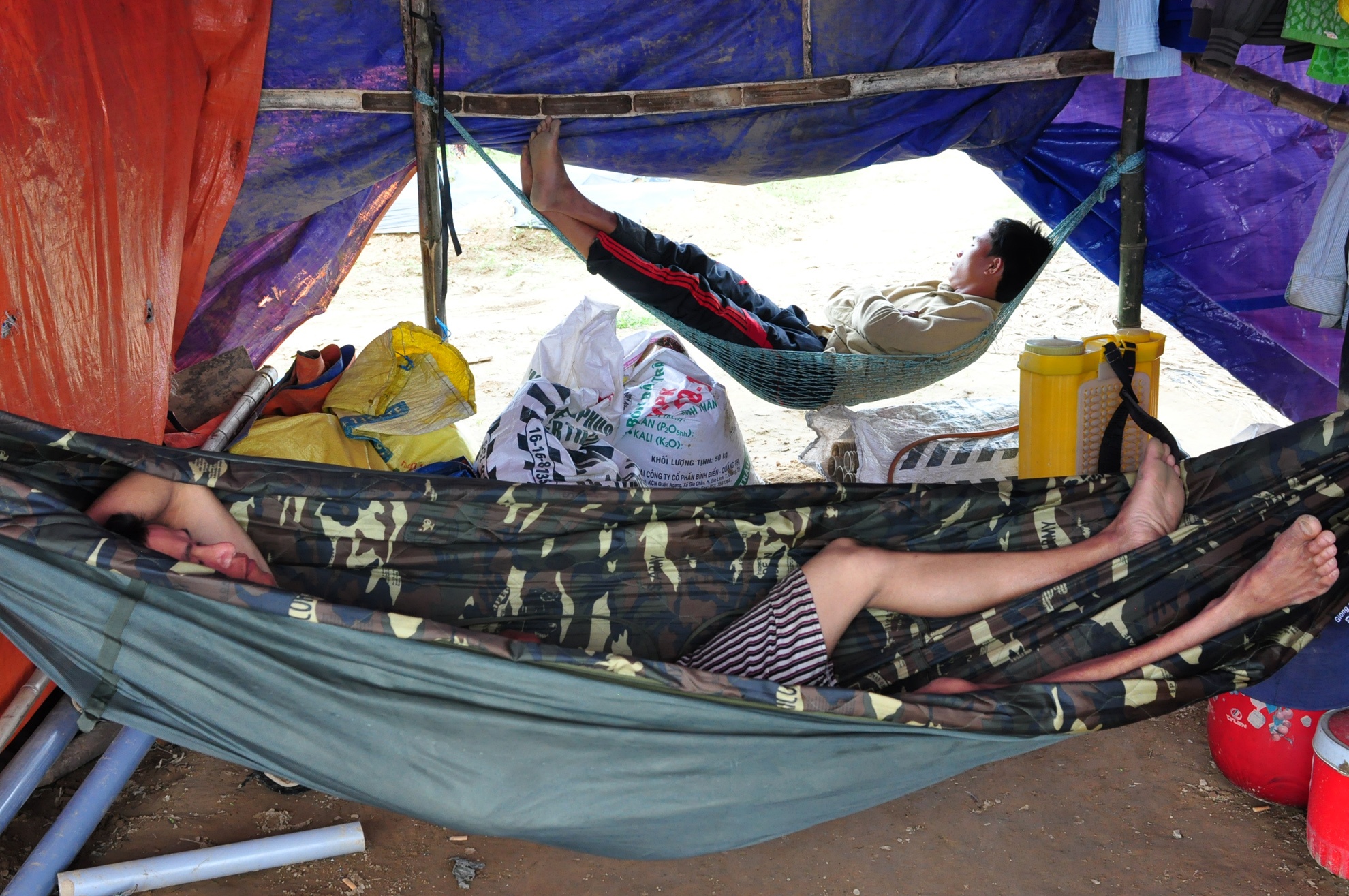 Nghe trong dua luu dong anh 13