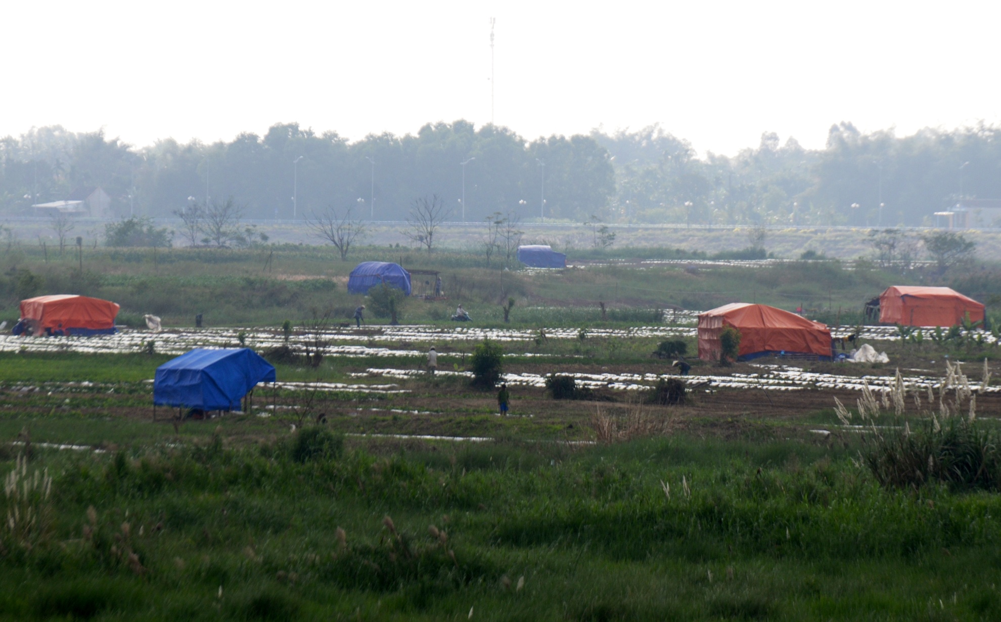 Nghe trong dua luu dong anh 1