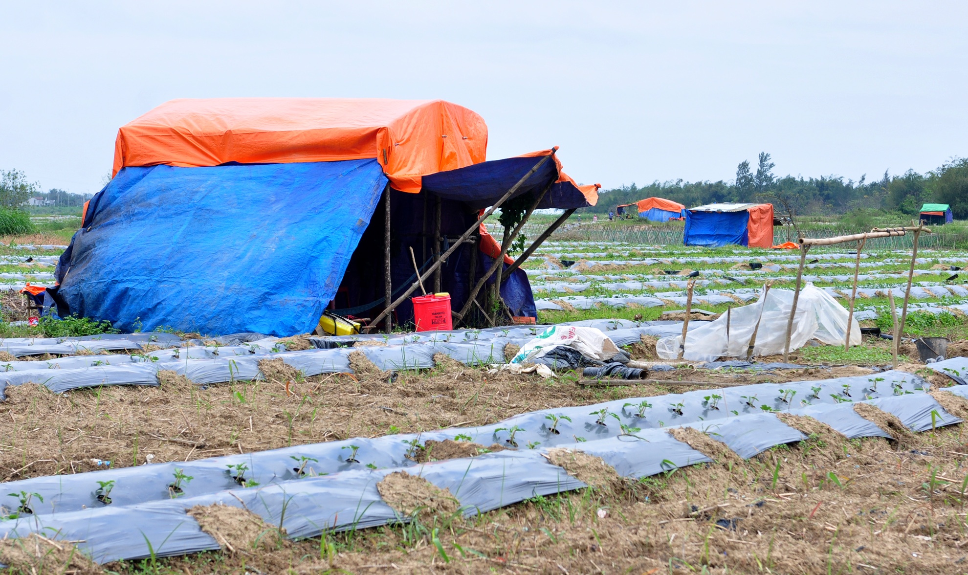 Dung leu bat trong dua luu dong tren bai boi ven song hinh anh