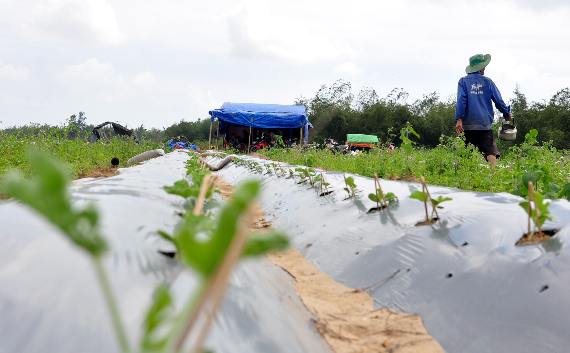 Nghe trong dua luu dong anh 4