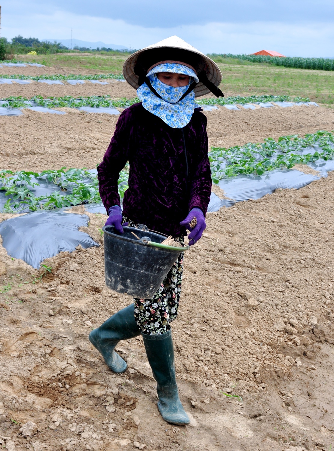 Nghe trong dua luu dong anh 6