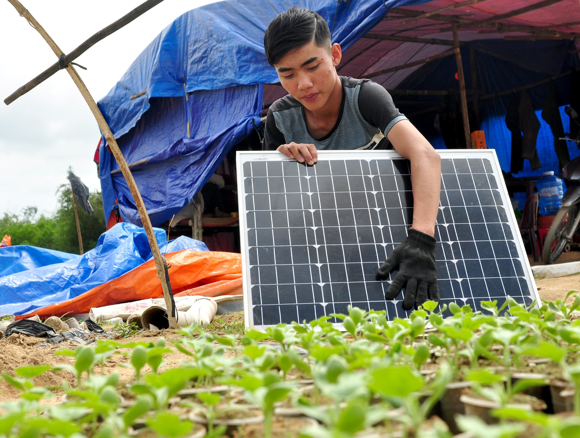 Nghe trong dua luu dong anh 8