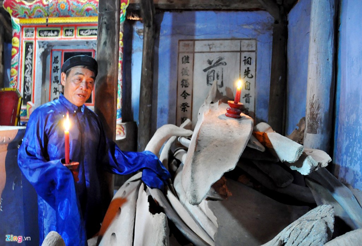 Phuc dung bo xuong ca Voi anh 2