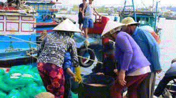 Ngu dan Quang Ngai boi thu 'loc bien' tu ruoc hinh anh