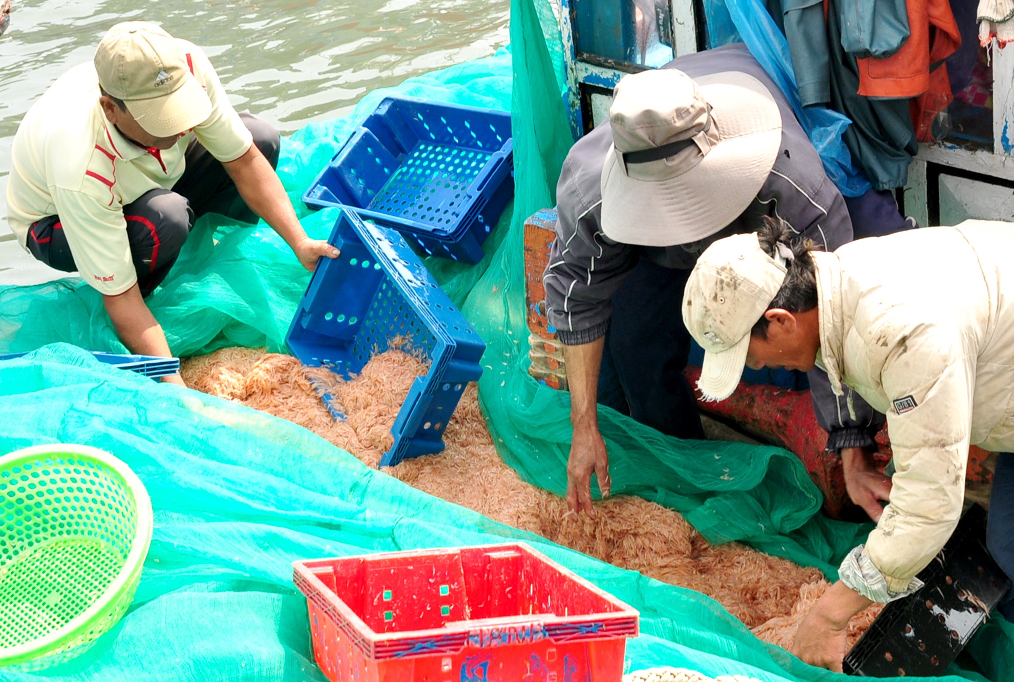 Ngu dan Quang Ngai anh 2