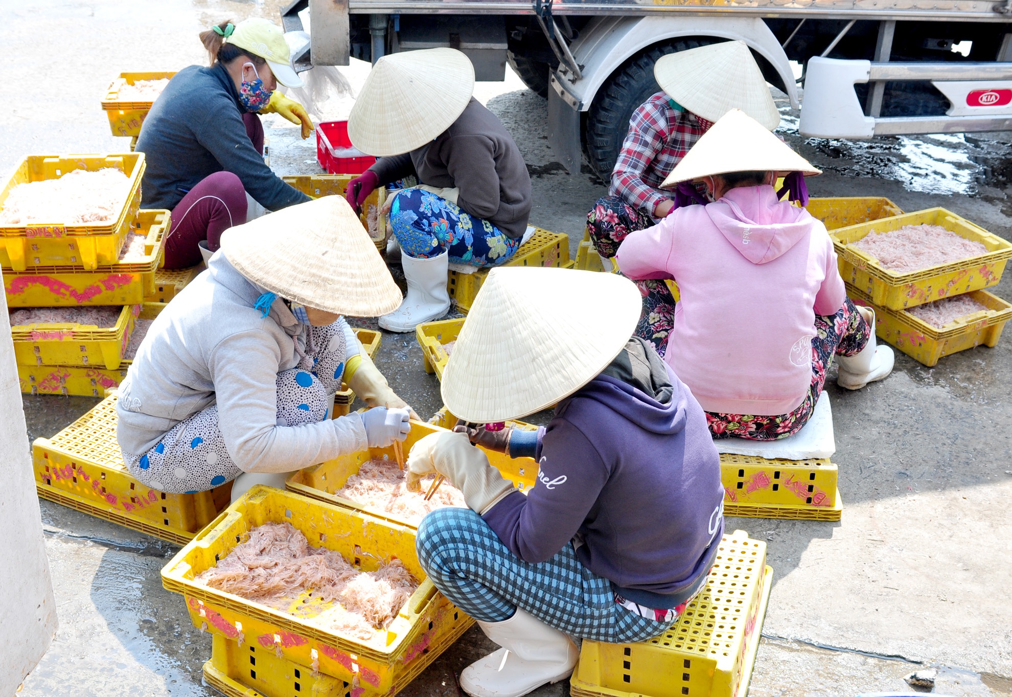 Ngu dan Quang Ngai anh 7