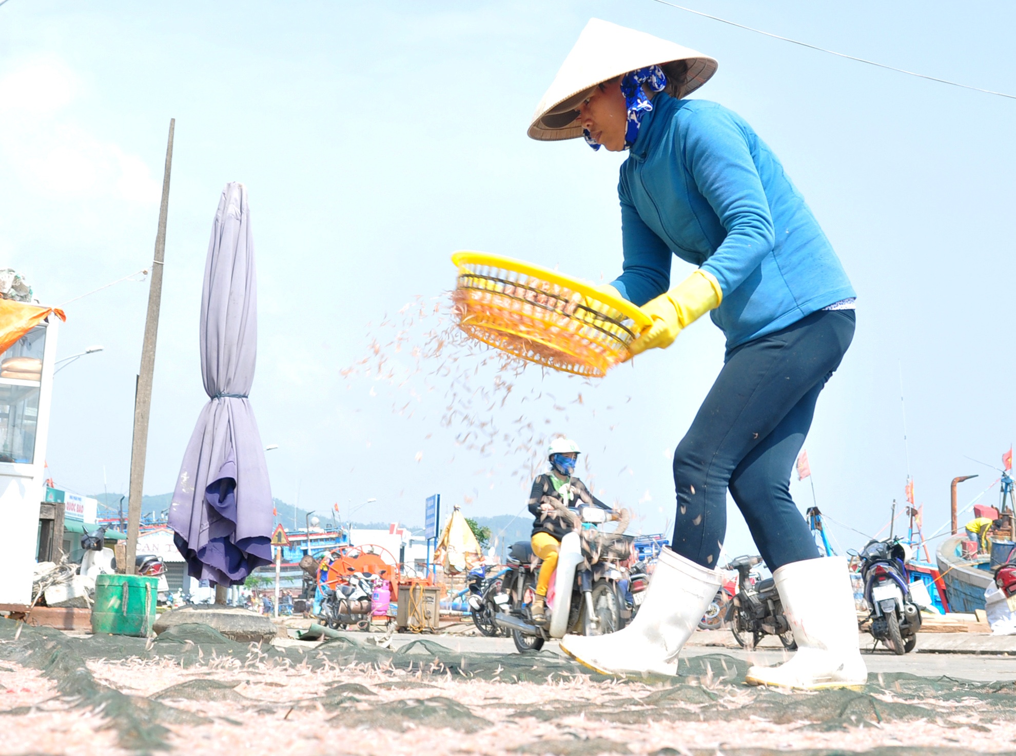 Ngu dan Quang Ngai anh 8