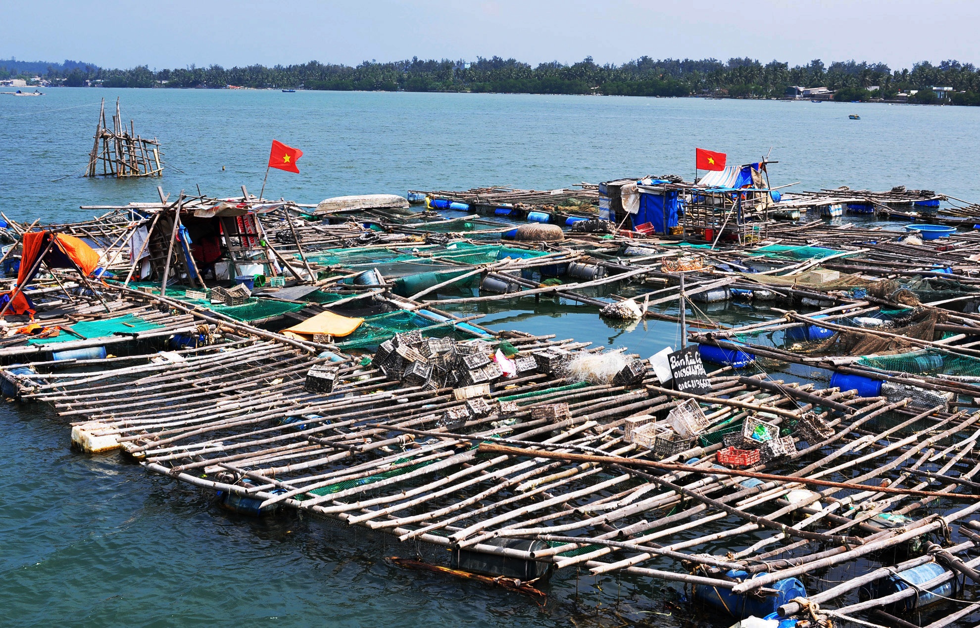 Nuoi thuy san tong hop o Quang Ngai anh 1