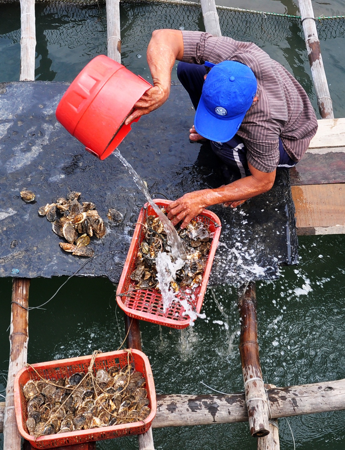 Nuoi thuy san tong hop o Quang Ngai anh 2