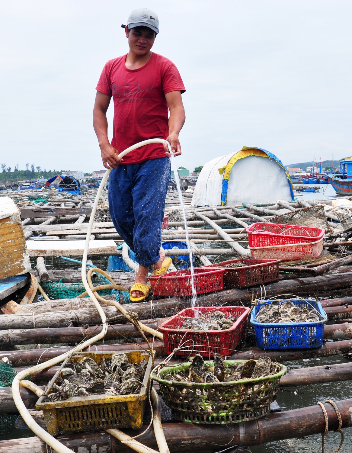 Nuoi thuy san tong hop o Quang Ngai anh 3