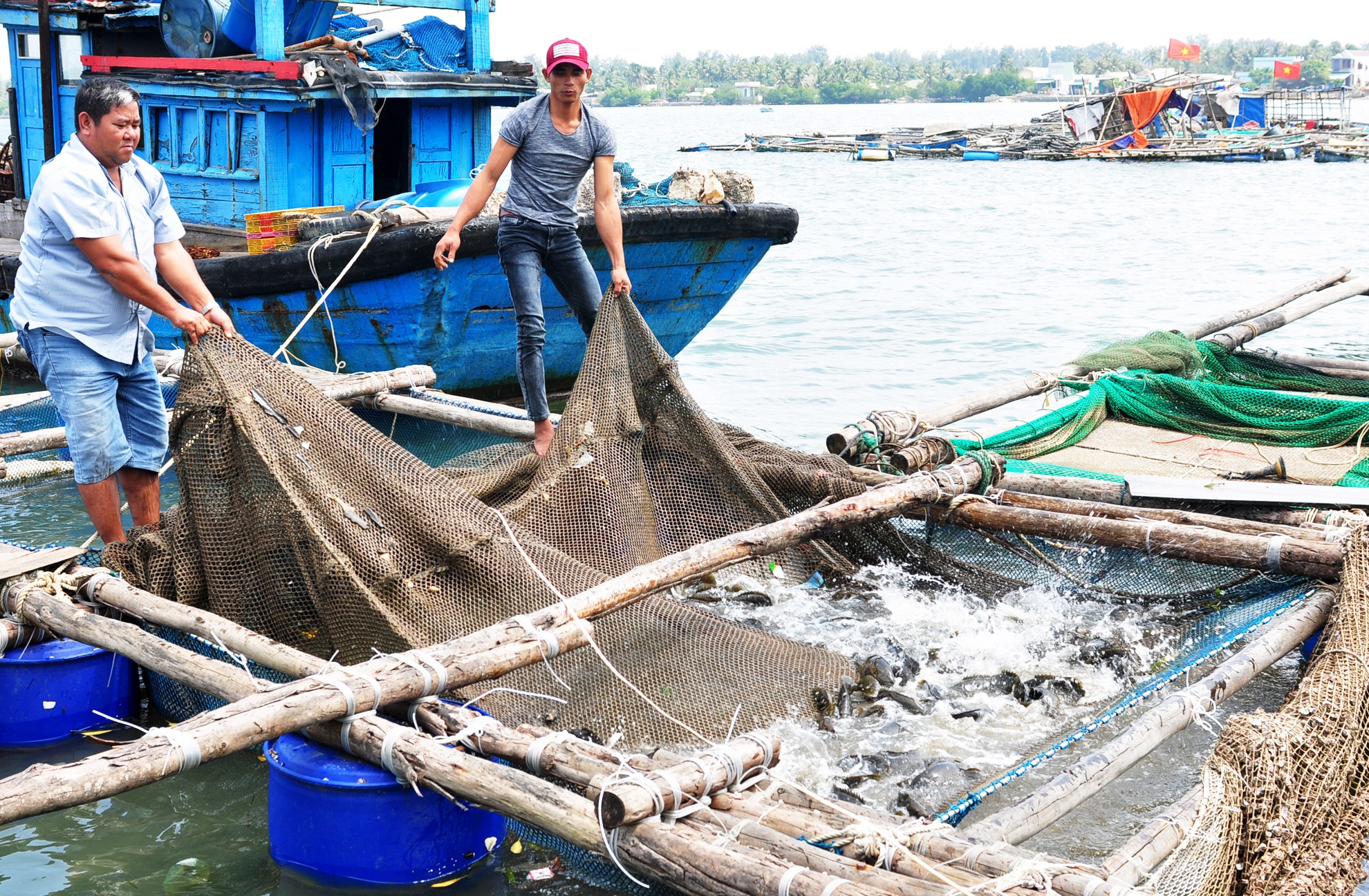 Nuoi thuy san tong hop o Quang Ngai anh 6