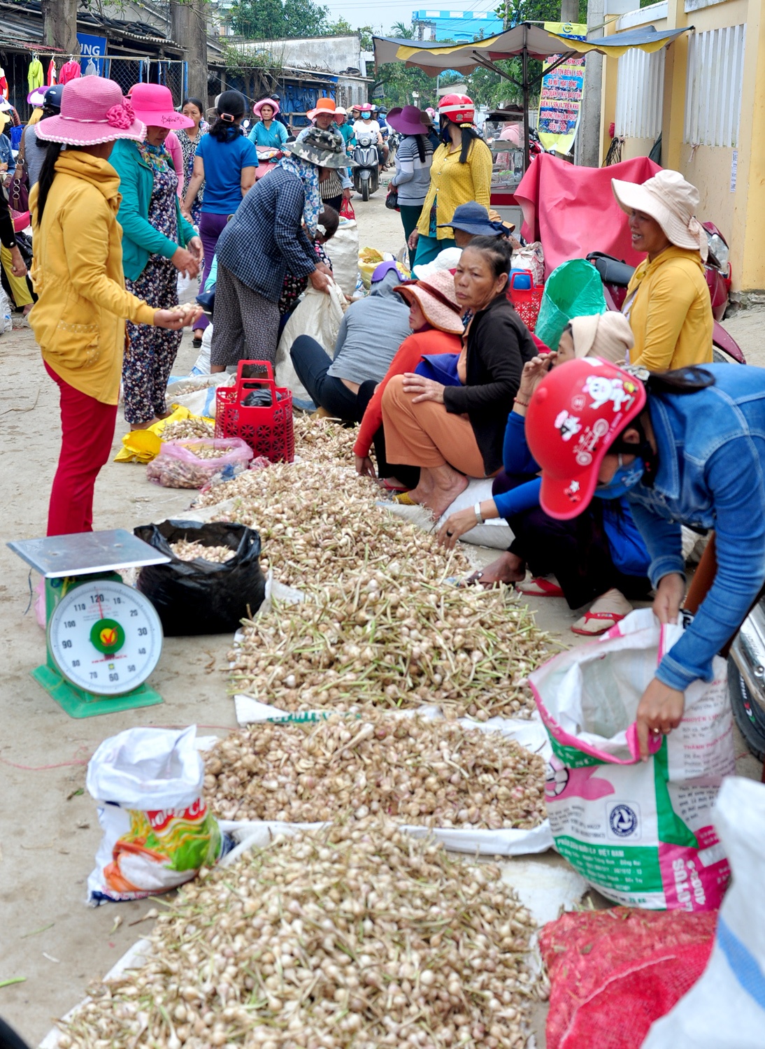 Ron rang mua toi o dao Ly Son anh 10