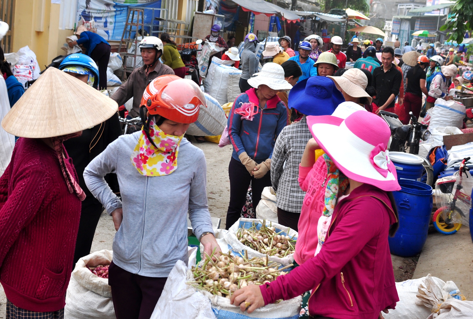 Ron rang mua toi o dao Ly Son anh 11