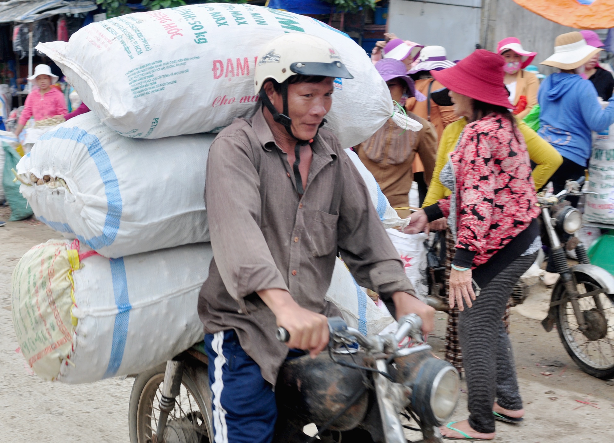 Ron rang mua toi o dao Ly Son anh 12