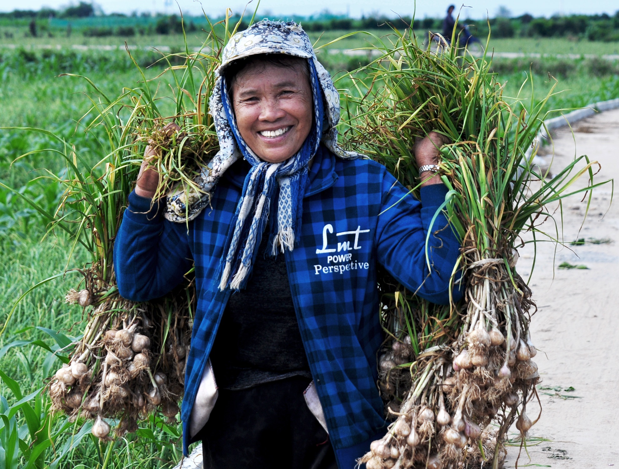 Ron rang mua toi o dao Ly Son anh 2