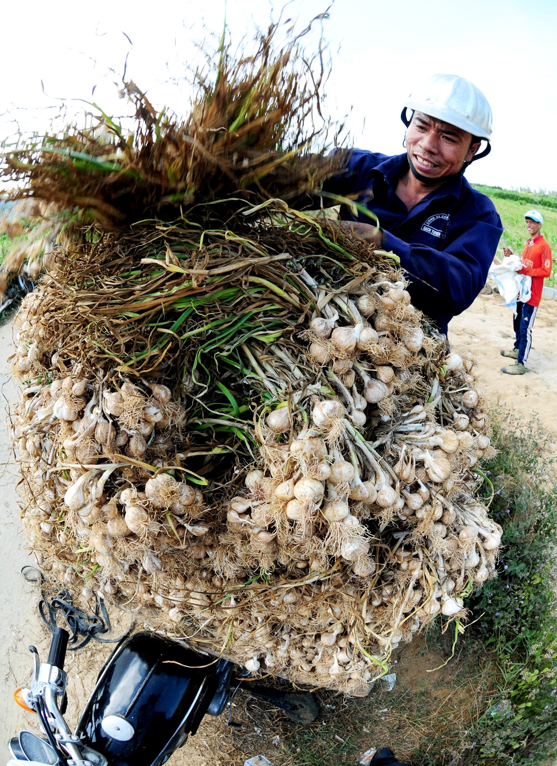 Ron rang mua toi o dao Ly Son anh 4