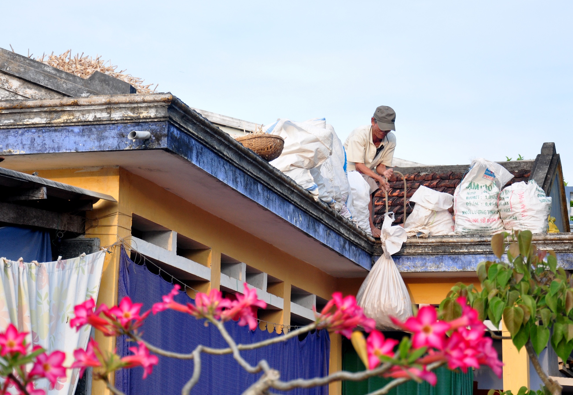 Ron rang mua toi o dao Ly Son anh 6