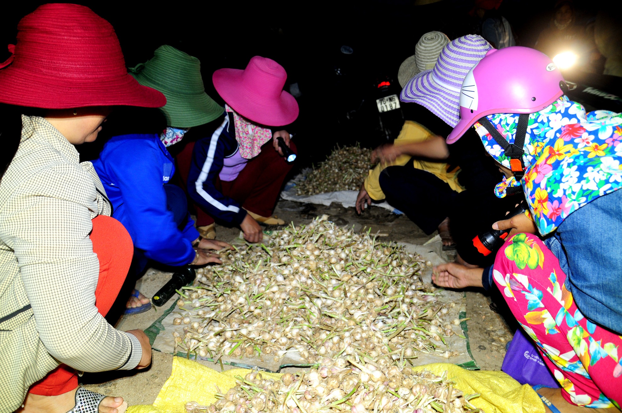 Ron rang mua toi o dao Ly Son anh 9